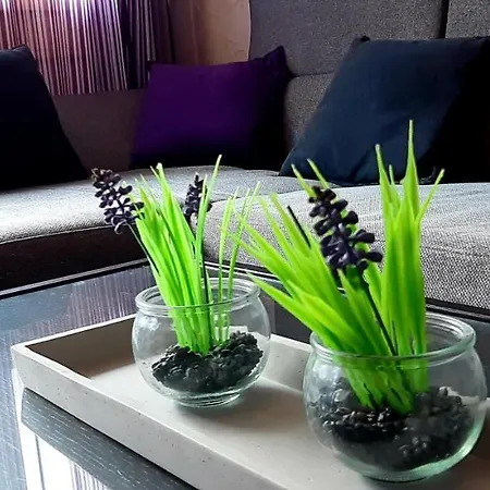 Dachstein Adventure *