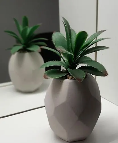 Dachstein Adventure Appartamento Obertraun