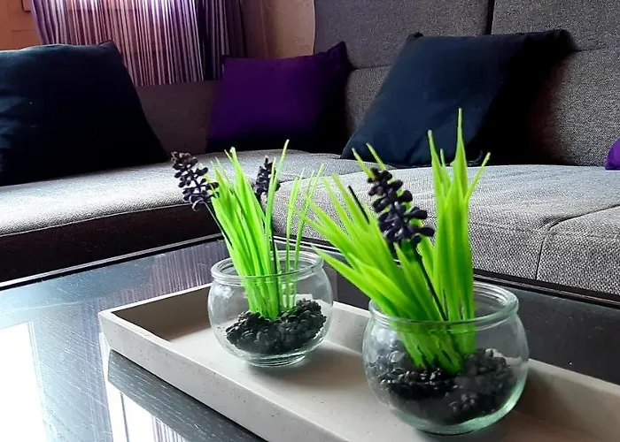 Dachstein Adventure *